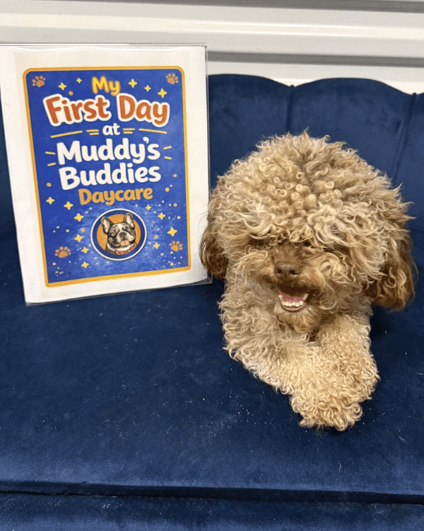 Muddy Buddies Daycare Tomball TX