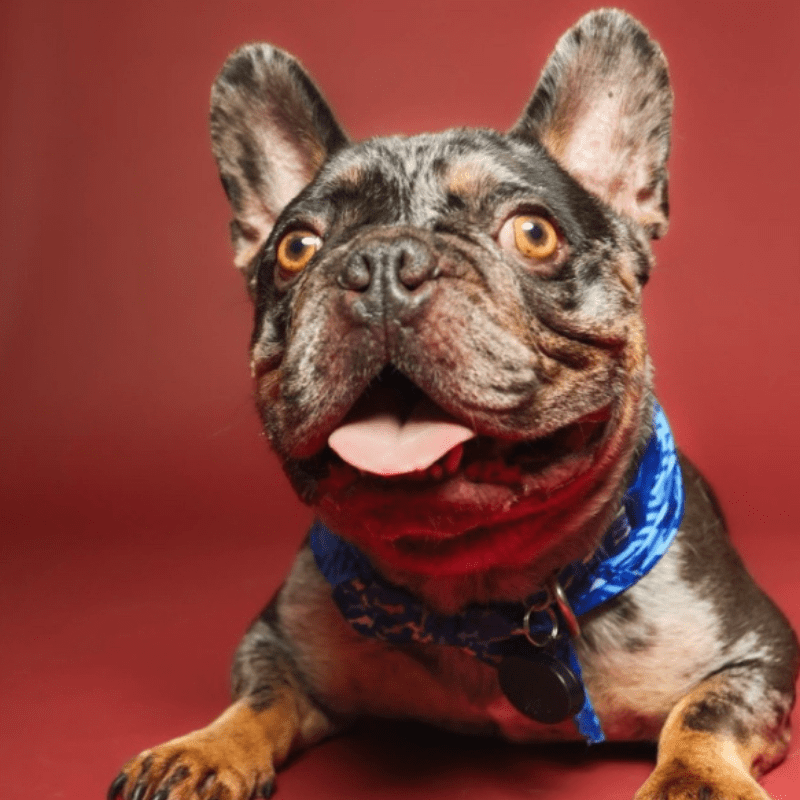 Muddy Buddies Daycare Tomball TX